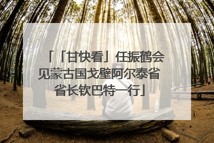 「甘快看」任振鹤会见蒙古国戈壁阿尔泰省省长钦巴特一行