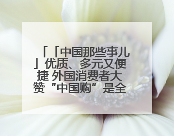 「中国那些事儿」优质、多元又便捷 外国消费者大赞“中国购”是全新体验！