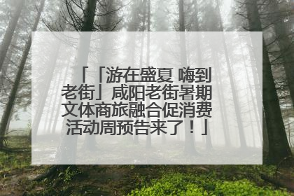 「游在盛夏 嗨到老街」咸阳老街暑期文体商旅融合促消费活动周预告来了！