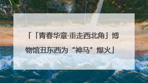 「青春华章·重走西北角」博物馆丑东西为“神马”爆火