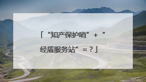 “知产保护哨”+“经盾服务站”=？