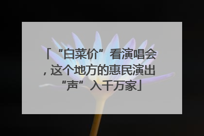 “白菜价”看演唱会，这个地方的惠民演出“声”入千万家