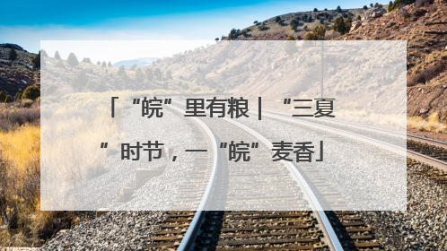“皖”里有粮｜“三夏”时节，一“皖”麦香
