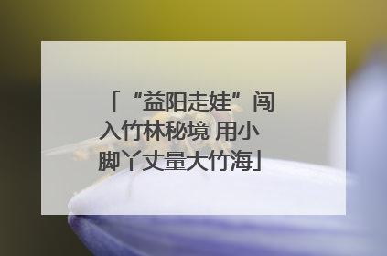 “益阳走娃”闯入竹林秘境 用小脚丫丈量大竹海