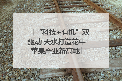 “科技+有机”双驱动 天水打造花牛苹果产业新高地