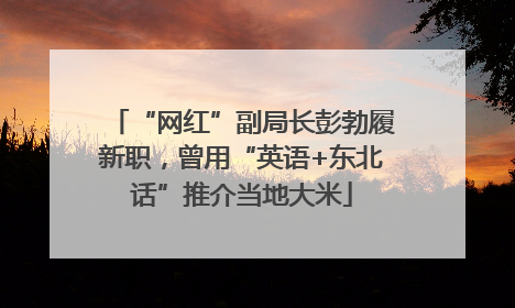 “网红”副局长彭勃履新职，曾用“英语+东北话”推介当地大米