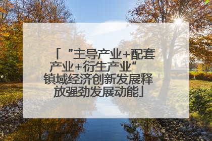 “主导产业+配套产业+衍生产业” 镇域经济创新发展释放强劲发展动能