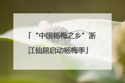 “中国杨梅之乡”浙江仙居启动杨梅季