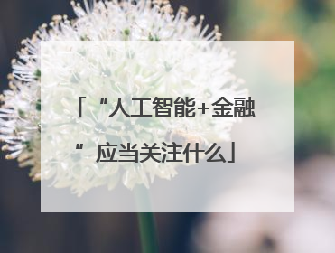 “人工智能+金融”应当关注什么