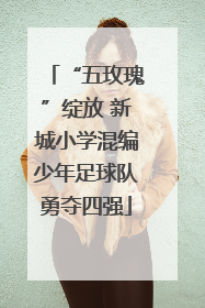 “五玫瑰”绽放 新城小学混编少年足球队勇夺四强