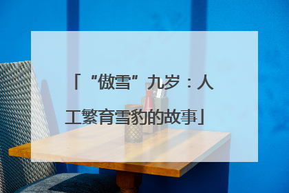 “傲雪”九岁：人工繁育雪豹的故事
