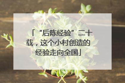 “后陈经验”二十载，这个小村创造的经验走向全国
