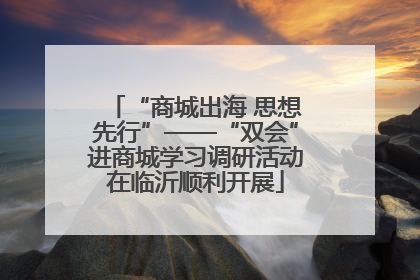 “商城出海 思想先行”——“双会”进商城学习调研活动在临沂顺利开展