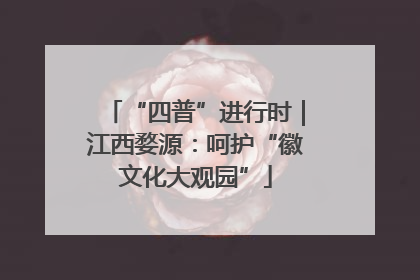 “四普”进行时｜江西婺源：呵护“徽文化大观园”