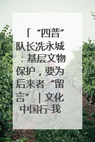 “四普”队长冼永城：基层文物保护，要为后来者“留言”｜文化中国行·我在广东找文物