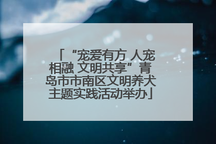 “宠爱有方 人宠相融 文明共享”青岛市市南区文明养犬主题实践活动举办
