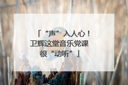 “声”入人心!卫辉这堂音乐党课很“动听”