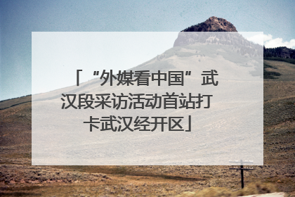 “外媒看中国”武汉段采访活动首站打卡武汉经开区
