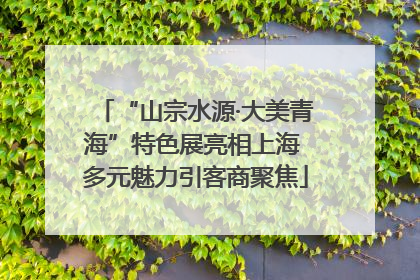 “山宗水源·大美青海”特色展亮相上海 多元魅力引客商聚焦