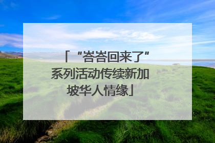 “峇峇回来了”系列活动传续新加坡华人情缘
