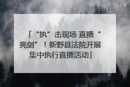 “执”击现场 直播“亮剑”！新野县法院开展集中执行直播活动