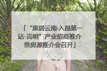 “旅居云南·入昆第一站-嵩明”产业招商推介暨房源推介会召开
