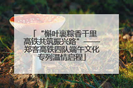 “槲叶裹粽香千里 高铁共筑振兴路”——郑客高铁四队端午文化专列温情启程
