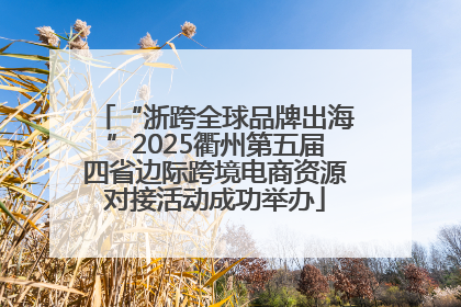 “浙跨全球品牌出海”2025衢州第五届四省边际跨境电商资源对接活动成功举办
