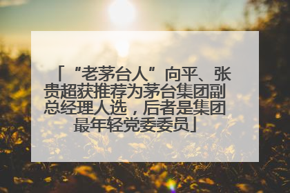 “老茅台人”向平、张贵超获推荐为茅台集团副总经理人选，后者是集团最年轻党委委员