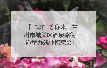 “职”等你来！兰州市城关区酒泉路街道举办就业招聘会