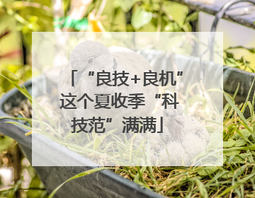 “良技+良机” 这个夏收季“科技范”满满