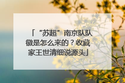 “苏超”南京队队徽是怎么来的？收藏家王世清细说源头