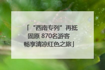 “西南专列”再抵固原 870名游客畅享清凉红色之旅
