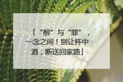 “醉”与“罪”，一念之间！别让杯中酒，断送回家路