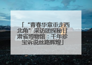 “青春华章重走西北角”采访团探秘甘肃省博物馆：千年珍宝诉说丝路辉煌