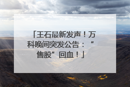 王石最新发声！万科晚间突发公告：“售股”回血！