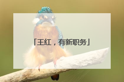王红，有新职务