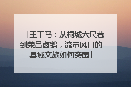 王千马：从桐城六尺巷到荣昌卤鹅，流量风口的县域文旅如何突围