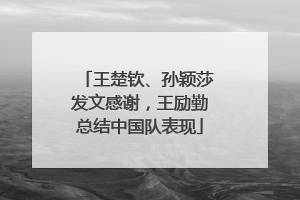 王楚钦、孙颖莎发文感谢，王励勤总结中国队表现