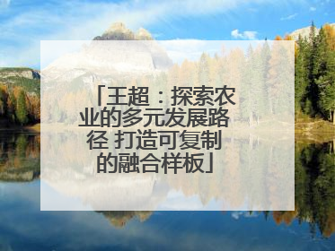 王超：探索农业的多元发展路径 打造可复制的融合样板