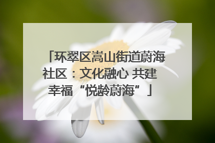 环翠区嵩山街道蔚海社区：文化融心 共建幸福“悦龄蔚海”