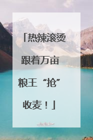 热辣滚烫 跟着万亩粮王“抢”收麦！