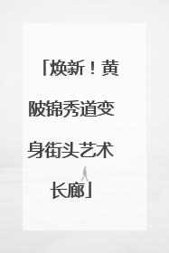 焕新！黄陂锦秀道变身街头艺术长廊
