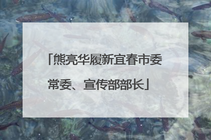 熊亮华履新宜春市委常委、宣传部部长