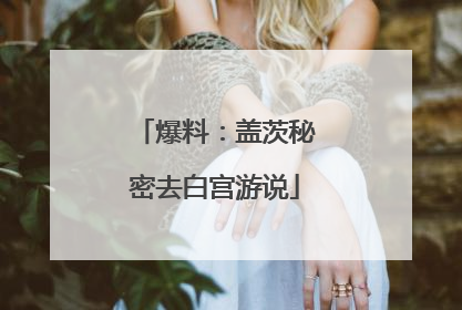 爆料：盖茨秘密去白宫游说