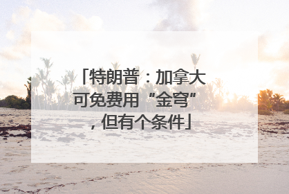 特朗普：加拿大可免费用“金穹”，但有个条件