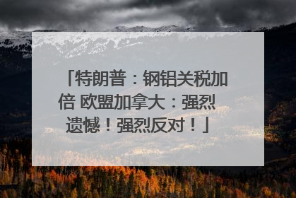 特朗普：钢铝关税加倍 欧盟加拿大：强烈遗憾！强烈反对！