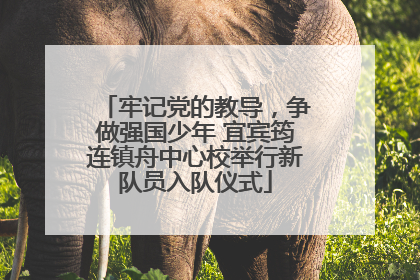 牢记党的教导，争做强国少年 宜宾筠连镇舟中心校举行新队员入队仪式