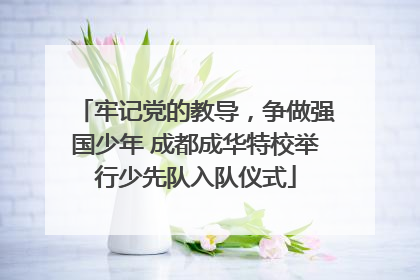 牢记党的教导，争做强国少年 成都成华特校举行少先队入队仪式