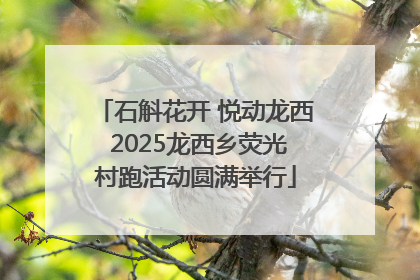 石斛花开 悦动龙西 2025龙西乡荧光村跑活动圆满举行